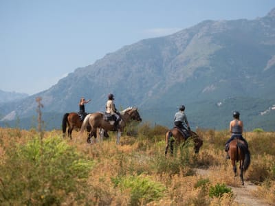 Horse riding in the Corsican mountains, Corte