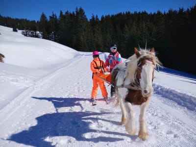 Ski Joering in Avoriaz, Portes du Soleil