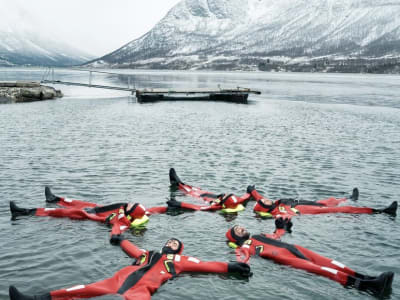 Arktisches Eis treibt vor Tromsø