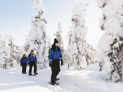 Arctic Snowshoeing Excursion from Rovaniemi