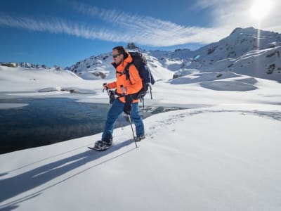 Randonnée sportive en raquettes sur les crêtes de la Cardinquère depuis Cauterets