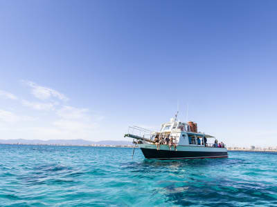 Paseo en barco por la Bahía de Palma desde El Arenal, Mallorca