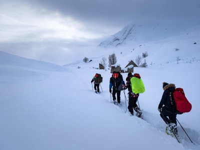 Excursión con raquetas de nieve en el Pays Toy