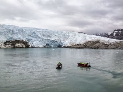 Fjord and Bird Watching Boat Tour to the Nordenskiöld Glacier in Svalbard