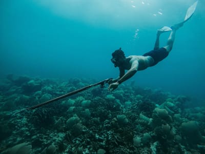 Descubra la pesca submarina en São Miguel, Azores