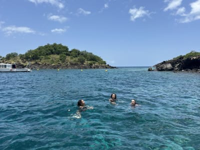 Excursion guidée de snorkeling à Bouillante, Guadeloupe
