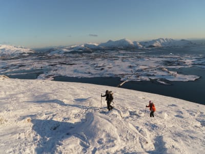 Snowshoe Summit Hike in Henningsvær near Svolvær in Lofoten
