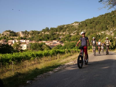 Guided Electric Scooter Tour of Castellane and Lake Castillon, Verdon