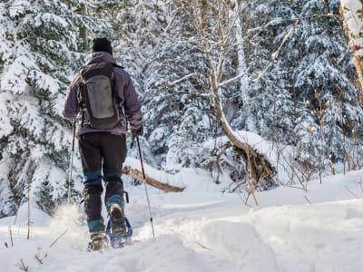 Snowshoe excursion at Camp Mercier, Laurentides Wildlife Reserve, from Quebec City