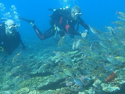 Discover scuba diving in L'Étang-Salé lagoon, la Réunion