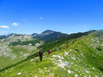 Geführte Besteigung der Dinara (Sinjal) von Sinj aus