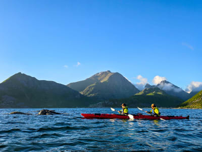 Guided Sea Kayaking at Haukland Beach near Leknes in Lofoten 