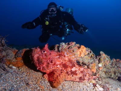 Expérience de plongée sous-marine à San Vito Lo Capo, Sicile