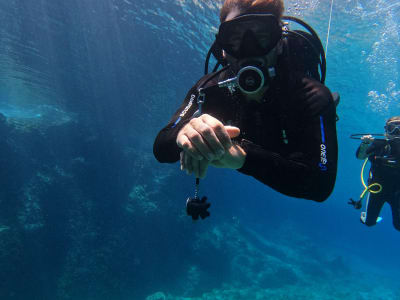 Entdecken Sie das Tauchen in Chania