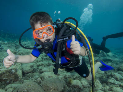 Essayez la plongée sous-marine à Marina di Gioiosa Ionica, Calabre