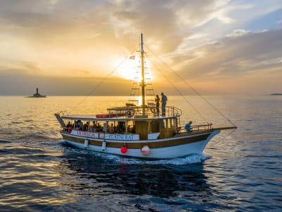 Dolphin watching with dinner in Medulin near Pula