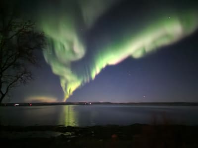 Chasse aux aurores boréales depuis Hammerfest (Finnmark)