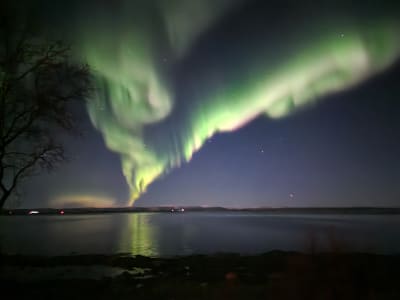 Northern Light Chase from Hammerfest in Finnmark