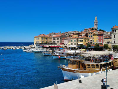 Full-day boat trip along the Istrian coast from Novigrad near Poreč