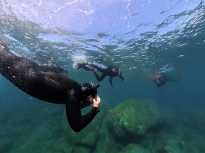 Excursion guidée de snorkeling dans le Golfe de Propriano, au départ de Porto Pollo