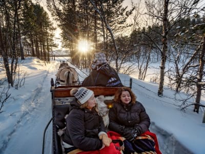 Promenade en traîneau à cheval et dîner arctique traditionnel près d'Alta