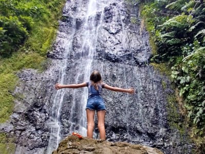 Excursión privada a la Montaña Mágica con Canopy en Moorea