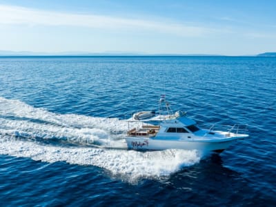 Boat trip to the island of Cres from Lovran near Rijeka with lunch