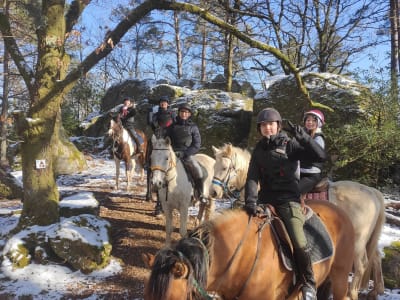 Randonnée à cheval à La Roche-en-Brenil dans le Morvan