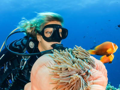 Scuba Diving excursion in Puerto Calero, near puerto del Carmen, Lanzarote