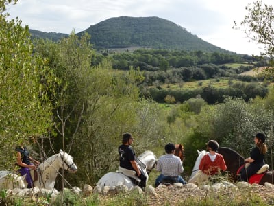 Ruta a caballo en Randa, Mallorca