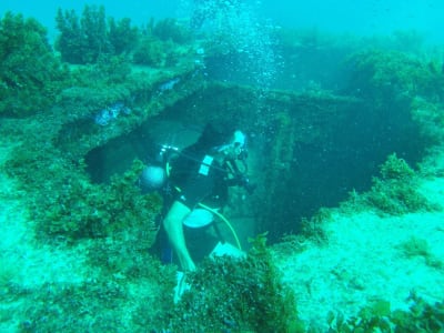 Geführte Tauchgänge auf La Désirade, Guadeloupe