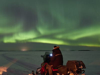 Excursion en motoneige pour les aurores boréales à Brändön, près de Luleå
