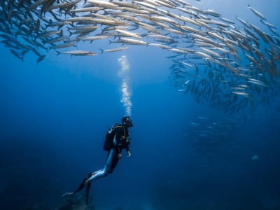 Doble inmersión en la Reserva Marina Natural de la Isla Reunión desde Le Port