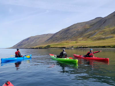 Kayak guidé à Siglufjörður sur la péninsule de Troll