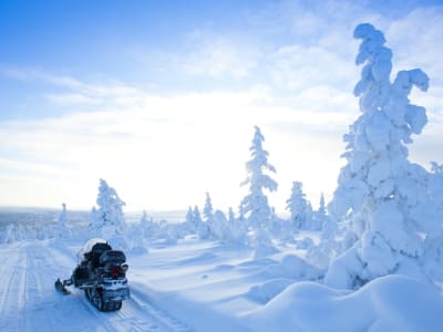 Excursión en Moto de nieve por bosques y lagos cerca de Rovaniemi