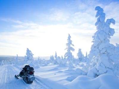 Arktische Motorschlittentour durch abgelegene Wälder und Seen bei Rovaniemi