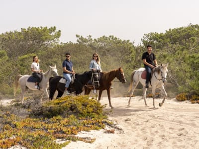 Visite guidée de Setubal et excursion à cheval sur les plages de Comporta depuis Lisbonne