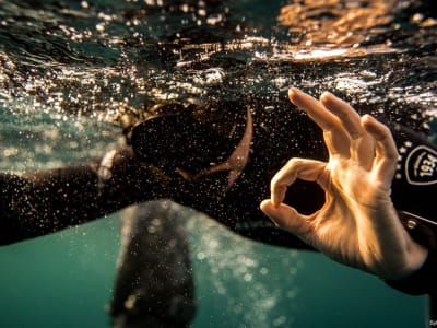 Descubra la apnea en Capbreton, cerca de Hossegor