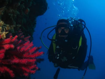 Descubre el buceo en Cinque Terre