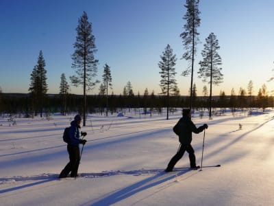 Backcountry Skiing Excursion in Lapland near Rovaniemi