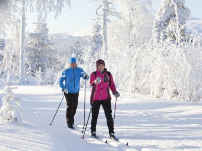 Ski de fond en Laponie, près de Rovaniemi