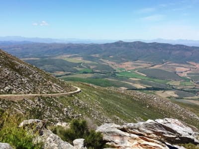 Private halbtägige Swartberg-Pass-Wanderung ab Oudtshoorn