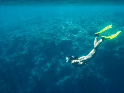 Excursion guidée de snorkeling en bateau depuis Puerto Rico de Gran Canaria