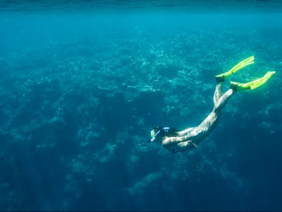 Excursion guidée de plongée en apnée en bateau depuis Puerto Rico de Gran Canaria