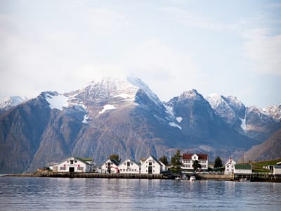 Excursion en bateau et visite touristique autour de l'île d'Uløya près de Tromsø 
