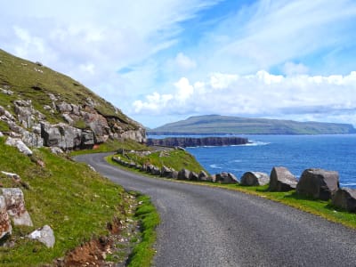 Excursión a la isla de Sandoy desde Tórshavn