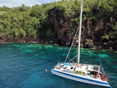 Catamaran Excursion and Scuba Diving with Turtles at Les Anses-d'Arlet, Martinique