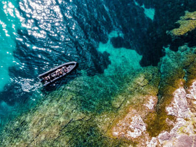 Boat excursion to the Estérel coves, Cannes