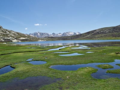 Geführte Wanderung zum Lac de Nino auf dem GR20 im regionalen Naturpark Korsika