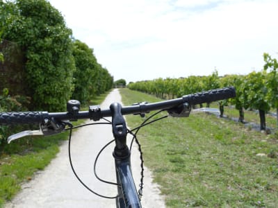 Balade à vélo guidée sur l’Île de Ré depuis Saint-Martin-de-Ré